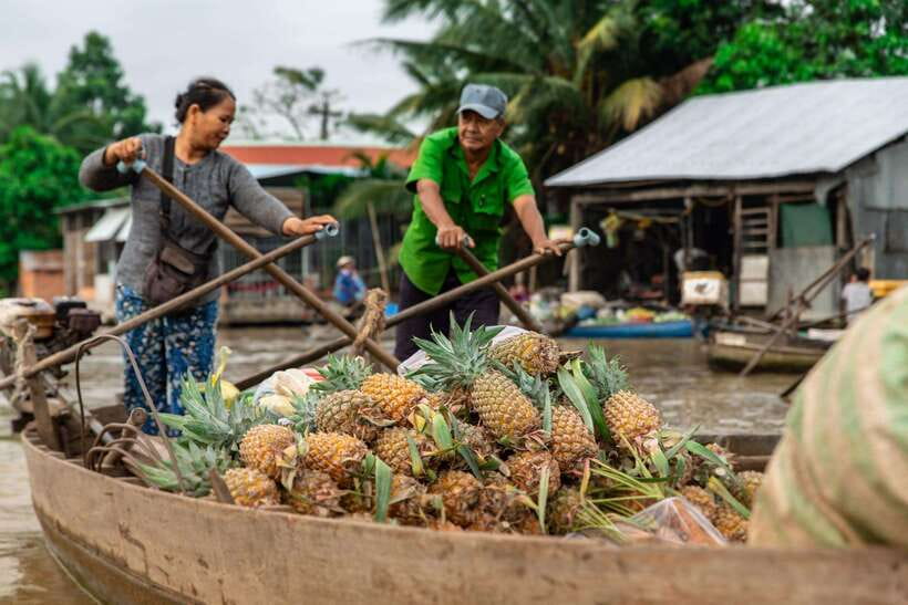 Ho Chi Minh City: Cai Rang Floating Market in Can Tho Tour - Practical tips: how to stay comfortable all day