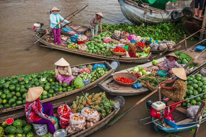 Ho Chi Minh City: Cai Rang Floating Market in Can Tho Tour - Who should book this day trip (and who should skip it)