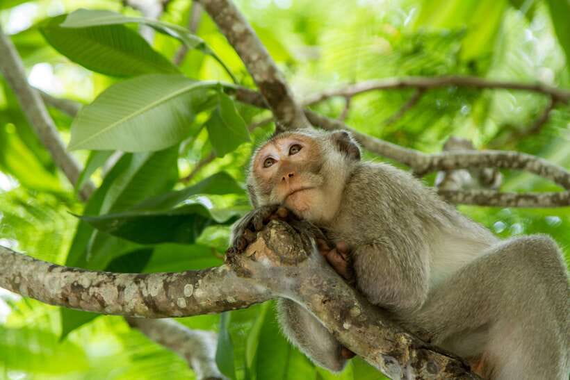 Ho Chi Minh City: Can Gio Eco Escape And Wildlife Discovery - Key things I’d circle before you book