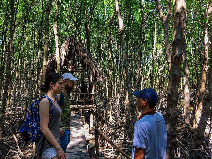 Ho Chi Minh City: Can Gio Eco Escape And Wildlife Discovery - Climbing Tang Bong Tower for biosphere panoramas