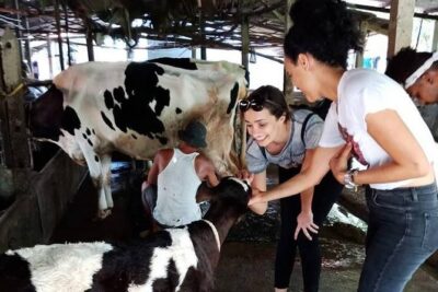 Ho Chi Minh City Full-Day Farm trip with Healthy Cooking Class - Picking Ingredients and the Yin-Yan Lesson Behind Vietnamese Balance