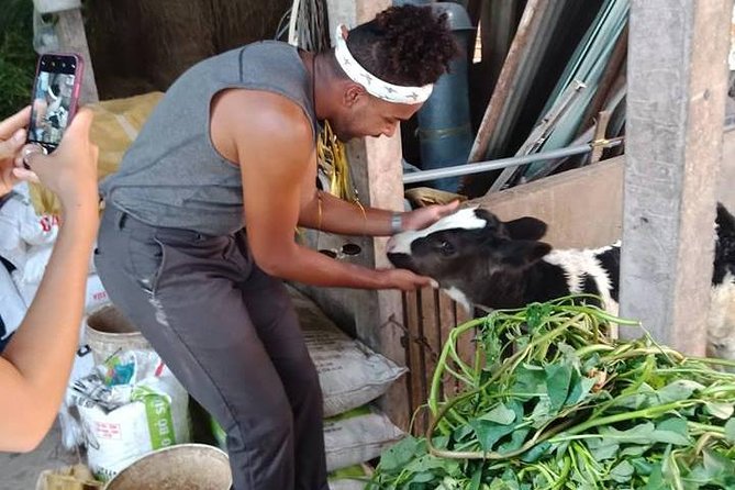 Ho Chi Minh City Full-Day Farm trip with Healthy Cooking Class - Comfort, Timing, and What to Bring for a Farm Kitchen Day