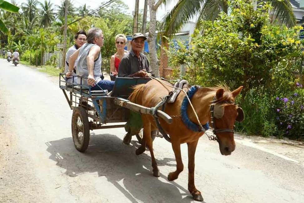 Ho Chi Minh Daily Tour: Full Day Mekong Delta (Private tour) - Price and What You’re Actually Paying For ($48 Per Person)
