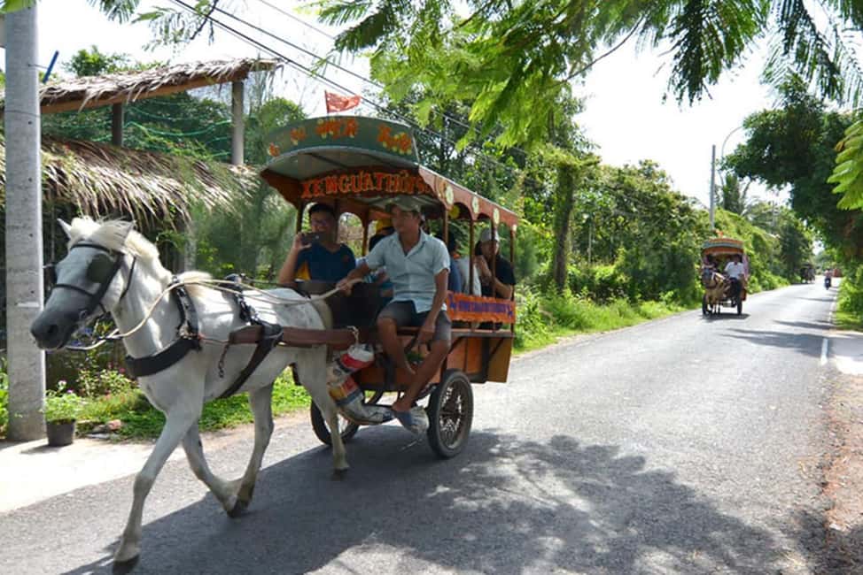 Ho Chi Minh Daily Tour: Full Day Mekong Delta (Private tour) - A Private Mekong Delta Day From Ho Chi Minh City