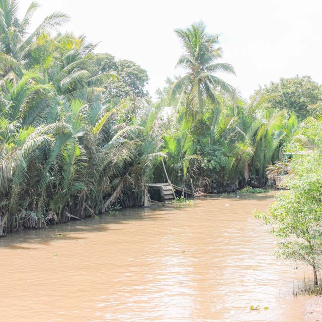 Ho Chi Minh: Mekong River Islands Private Excursion - Honey Tea, Coconut Candy, and the Family Business Stops