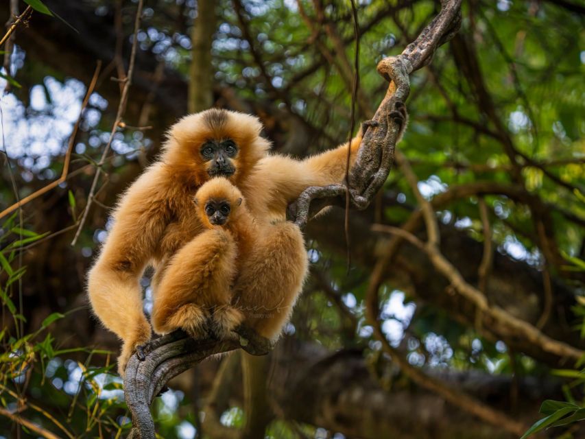 Ho Chi Minh to Cat Tien National Park – Dalat (3 days) - Who should book this, and who should skip it
