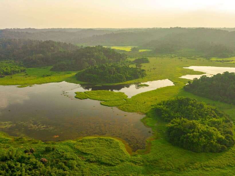 Ho Chi Minh to Cat Tien National Park – Dalat (3 days) - Bear Rescue Center: why it belongs in a national park day