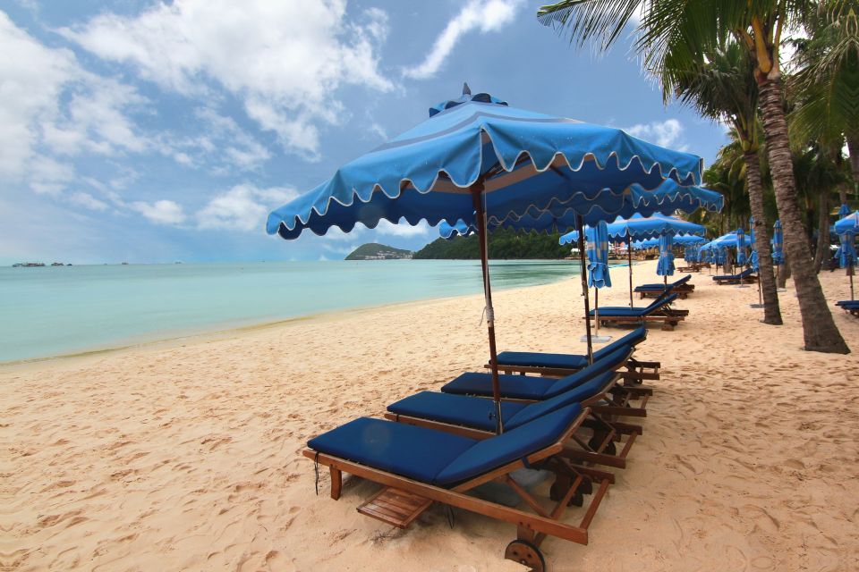 Ho Coc Beach, Nature Reserve & Dragon Fruit Farm Day Tour - Price and what you’re paying for at $114 per person