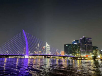 Lively Saigon River Sightseeing Cruise + Guided Walking Tour - Saigon Opera House to Bach Dang: the guided in-between moments