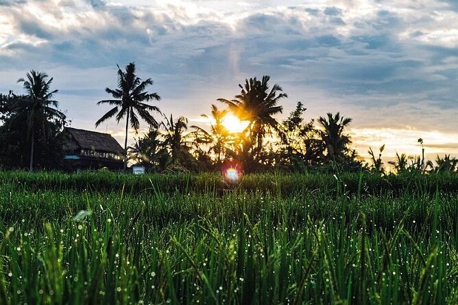 LUXURY Mekong 2 Days 1 Night SMALL GROUP Stay at Tiny Homestay with BBQ Dinner - Check-In to the Tiny Homestay Family Garden