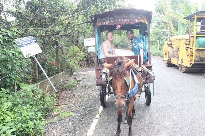Mekong Delta Adventure by Private Car from Phu My Port - Villages, Orchards, and Honey Tea: The Stops That Feel Like Daily Life
