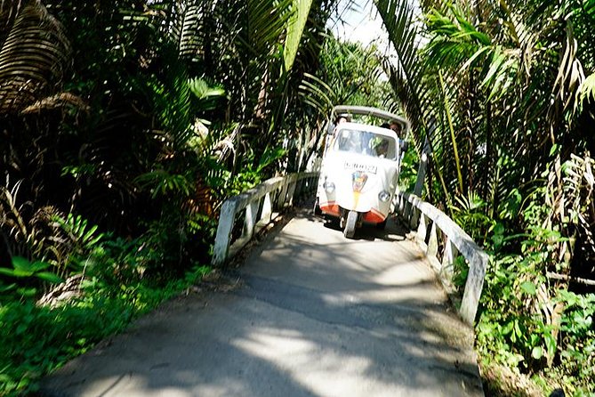 Mekong Delta and Ho Chi Minh City Private Tour Full Day - Lunch in the Mekong Delta style of the day: where fuel meets scenery