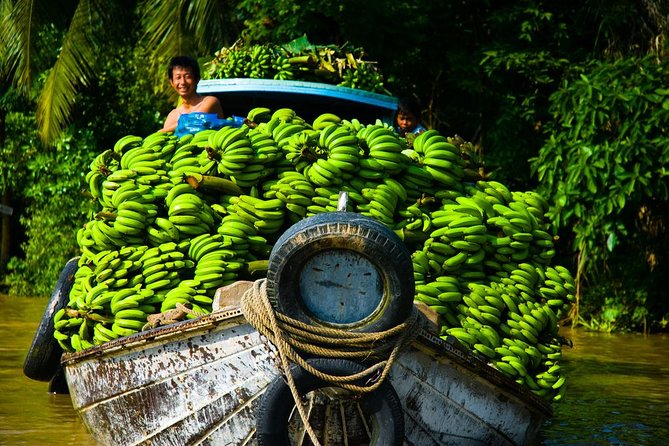 Mekong Delta Tour with Kayaking, Cycling and Cooking - Bến Lức to Mỹ Tho: Cycling Through Orchards and Rice Fields