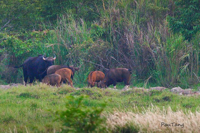 Nam Cat Tien National Park 2-Day Tour with Lodging, Meals.. - Leaving Ho Chi Minh City for a Former Volcanic World