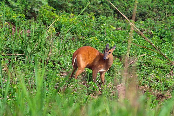 Nam Cat Tien National Park 2-Day Tour with Lodging, Meals.. - Lava Tubes and the Park’s Big Contrasts in Day One