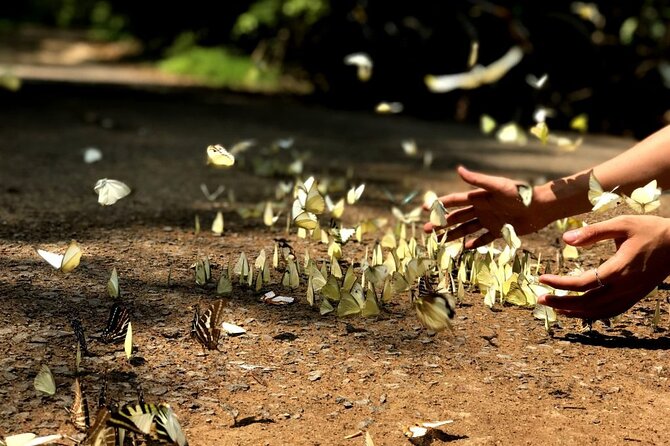 Nam Cat Tien National Park 2 Days 1 Night - Private Tour - Ta Lai wildlife habitat and what you’re really paying for