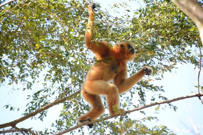 Nam Cat Tien National Park 2 Days 1 Night - Private Tour - Who should book this private Cat Tien tour?