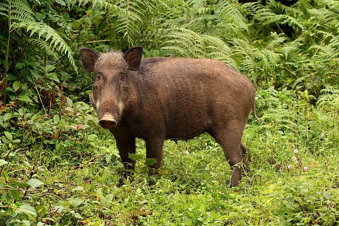 Nam Cat Tien National Park 2 Days 1 Night - Private Tour - Day 2: Bau Sau Lake by jeep, then walking to the station