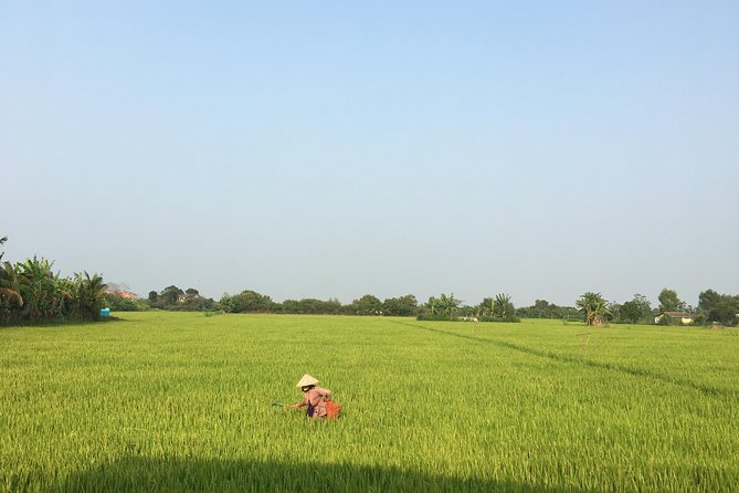 Private - An Authentic Mekong Local Version - Day Tour - Why This Mekong Delta Day Feels Different From Usual Tours