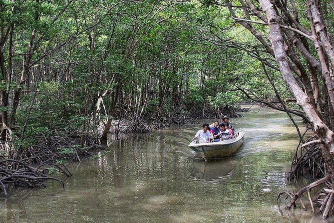 Private Can Gio Mangrove Eco Tour – Boat & Wildlife - The Boat Cruise Through the UNESCO-Listed Reserve (Where the Magic Starts)