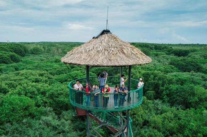 Private Can Gio Mangrove Eco Tour – Boat & Wildlife - Canopy Tower at Vam Sat: The Best Way to See More Than You Can Walk