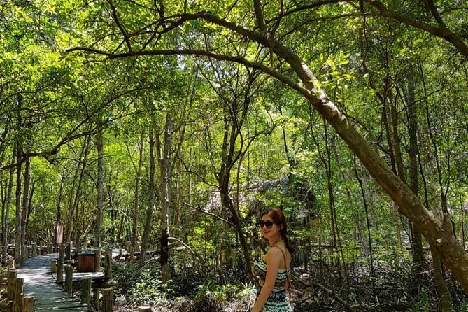 Private Can Gio Mangrove Eco Tour – Boat & Wildlife - Your Private Guide and Driver: Why the Experience Feels Effortless