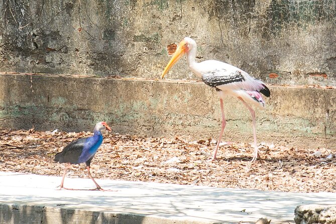Private Full Day Mekong Delta Tour to Dong Thap Muoi Wetlands - Pickup, private A/C comfort, and the long-drive rhythm