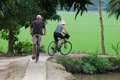 PRIVATE Luxury Sunset Mekong AFTERNOON TRIP with BBQ DINNER & COOK CLASS - Bee farm and honey tea: the calm reset you’ll remember