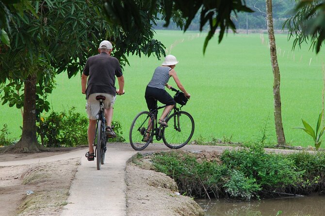 PRIVATE Luxury Sunset Mekong AFTERNOON TRIP with BBQ DINNER & COOK CLASS - Ben Tre Orchard Bike Time and Ben Luc Village at Golden Hour