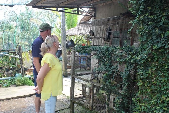 Private Mekong Delta 1 day - Don Ca Tai Tu and Honey Tea: The Local Break That Changes the Mood