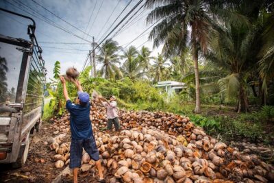 Private Mekong Delta & My Tho Full-Day Guided Tour - My Tho start: fruit gardens, orchids, and honey tea
