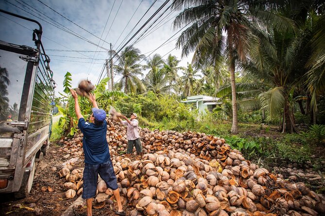 Private Mekong Delta & My Tho Full-Day Guided Tour - My Tho start: fruit gardens, orchids, and honey tea