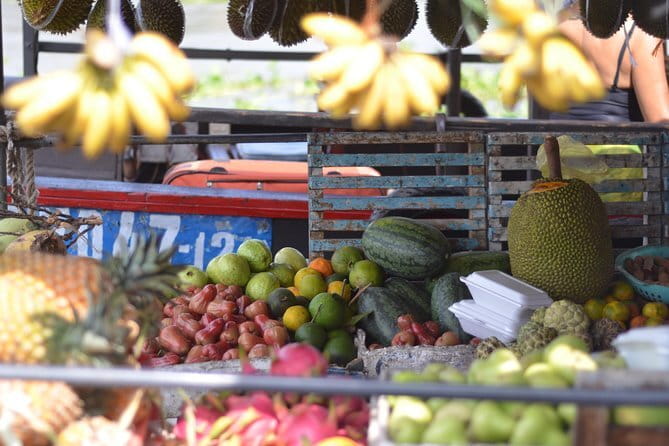 Private Mekong Delta tour to Cai Be – Tan Phong island full day - Key highlights