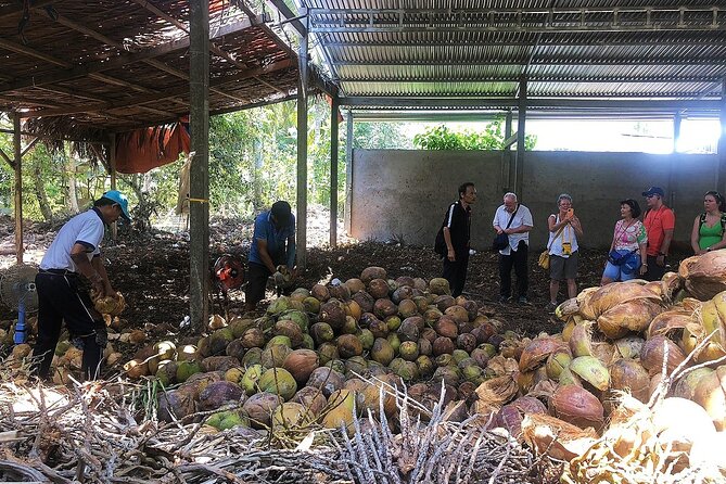 Private tour: Explore the authentic rural life in Ben Tre - Rowing the Water Palms Canal: scissor canals in real time