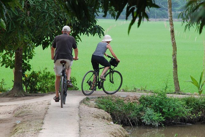 Private Tour Mekong Delta Day Trip from Ho Chi Minh City - Boats, Steps, and Low-Water Reality Checks