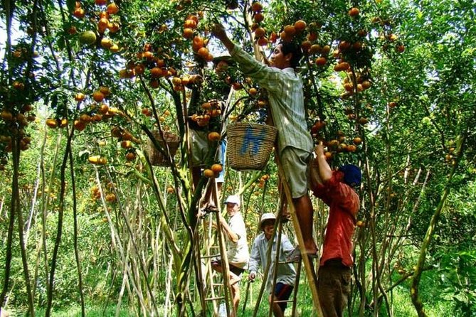 Private tour to Mekong Delta 1 day - Floating market time: how the boat ride shapes the experience
