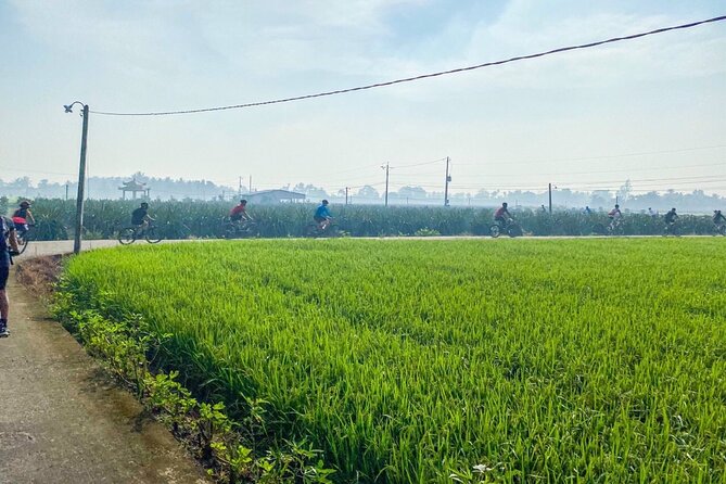 Saigon Countryside Cycling Adventure - Price and Value: What $99 Buys in a 6-Hour Day