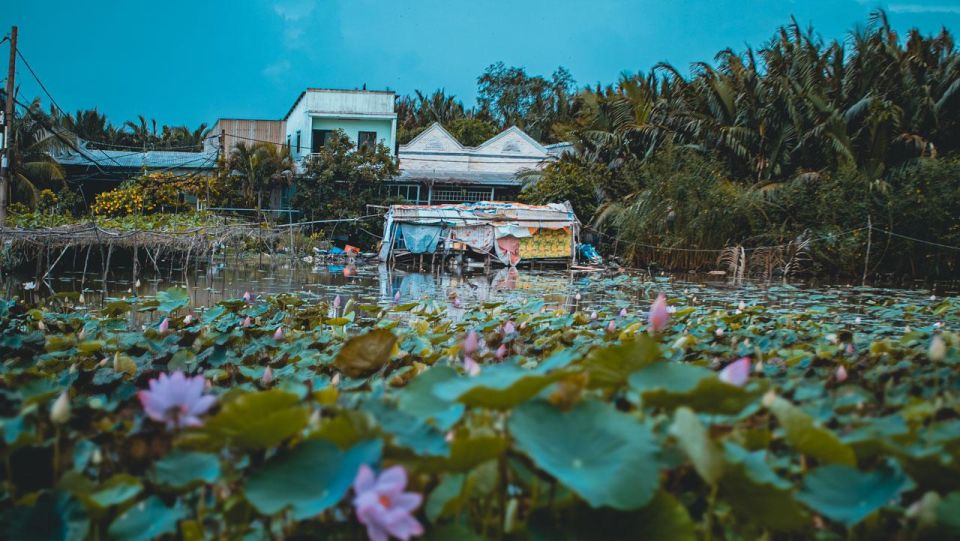 Saigon's Last Mekong Countryside Cycle Tour-Ho Chi Minh City - Who this tour is best for (and who should skip it)