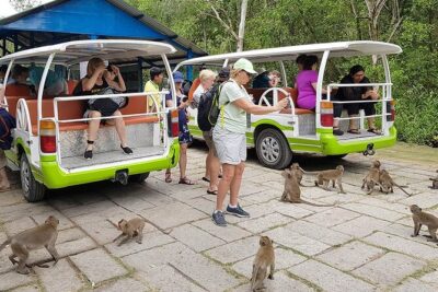 VIP Tour in Vam Sat: Can Gio Mangrove Forest by SpeedBoat - Lunch That Actually Feeds You: Vietnamese Set Meal Plus Cake and Fruit